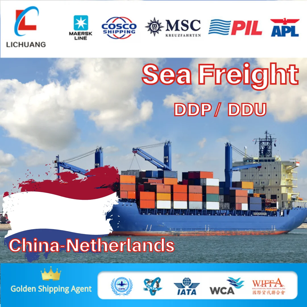 LCL Ocean Freight Agent Transport From China to Netherlands sea shipping DDU/DDP international logistics service