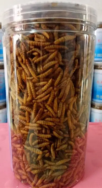 high protein Microwave dried  black soldier fly larvae for animal food feed pet food