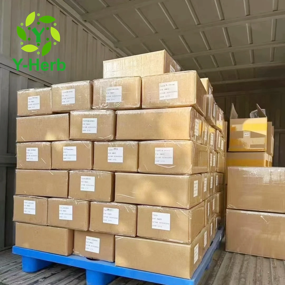 Gynura Procumbens P.E. Raw Dried Gynura Procumbens Powder 10:1 Longevity Spinach/Gynura Procumbens Extract