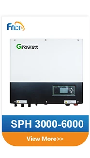 growatt inverter on grid 10kw