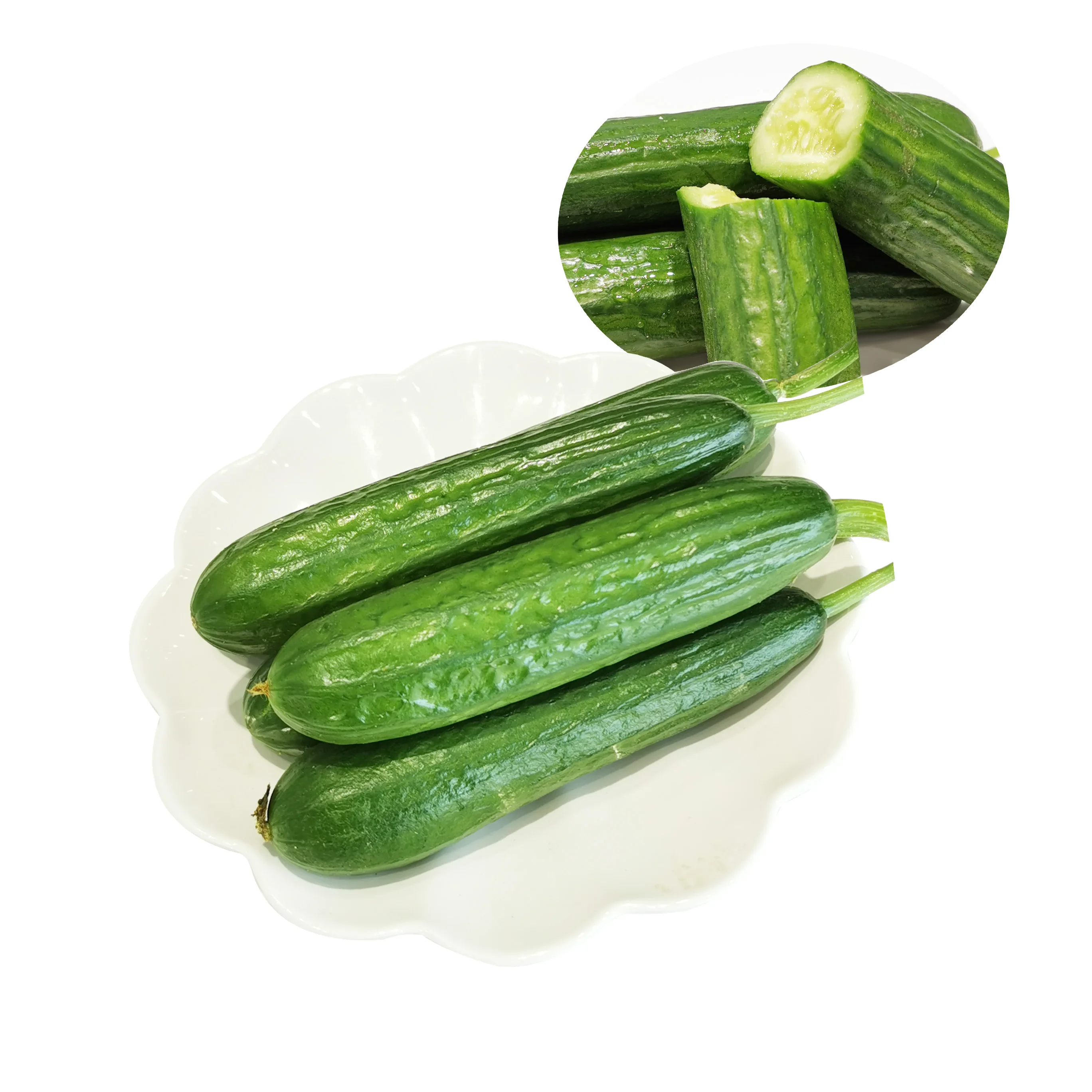 
China organic farms Growing fresh organic cucumbers 