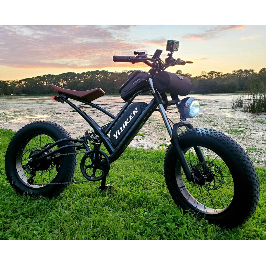 48V 500w 750w 1000w Power China Cheap Full Suspension Retro Vintage E Circle Ebike Dirt Mountain Fat Tire Bicycle Electric Bike
