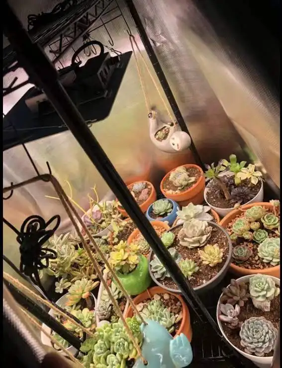 Best reflective surface mylar diamond foil mylar diamond film for grow room