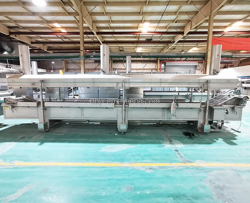 chips frying machine