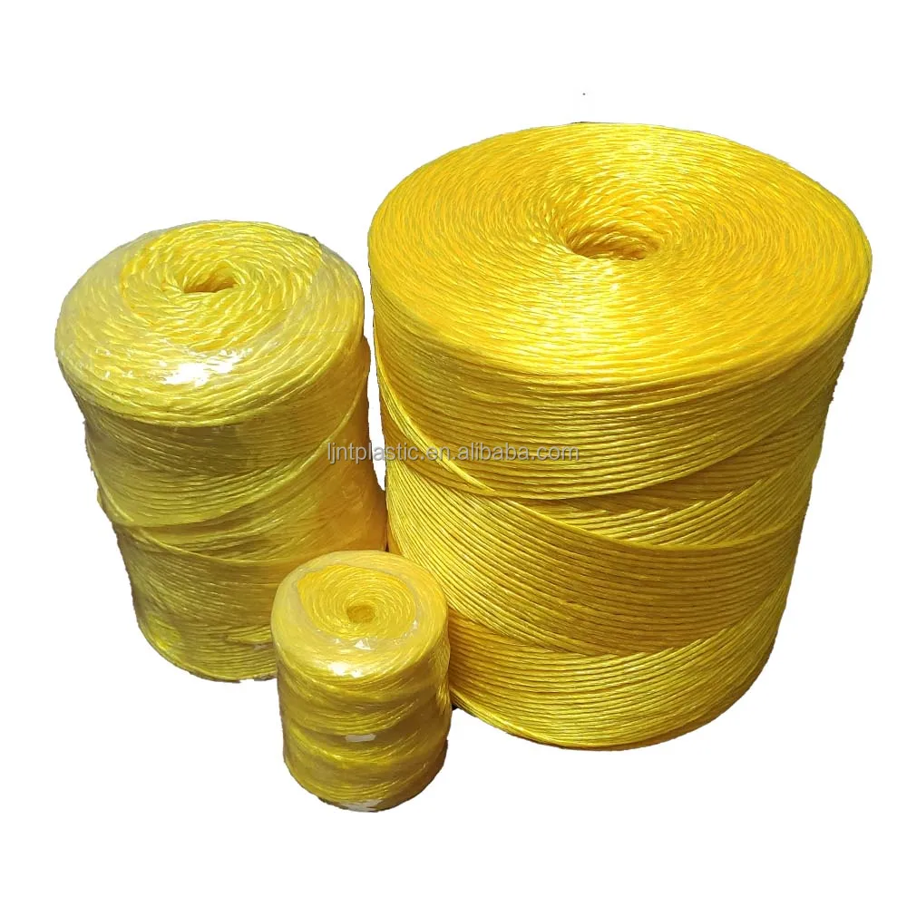 greenhouse solutions PP vegetable tomato trellising twine 1000m/kg for tomato plants