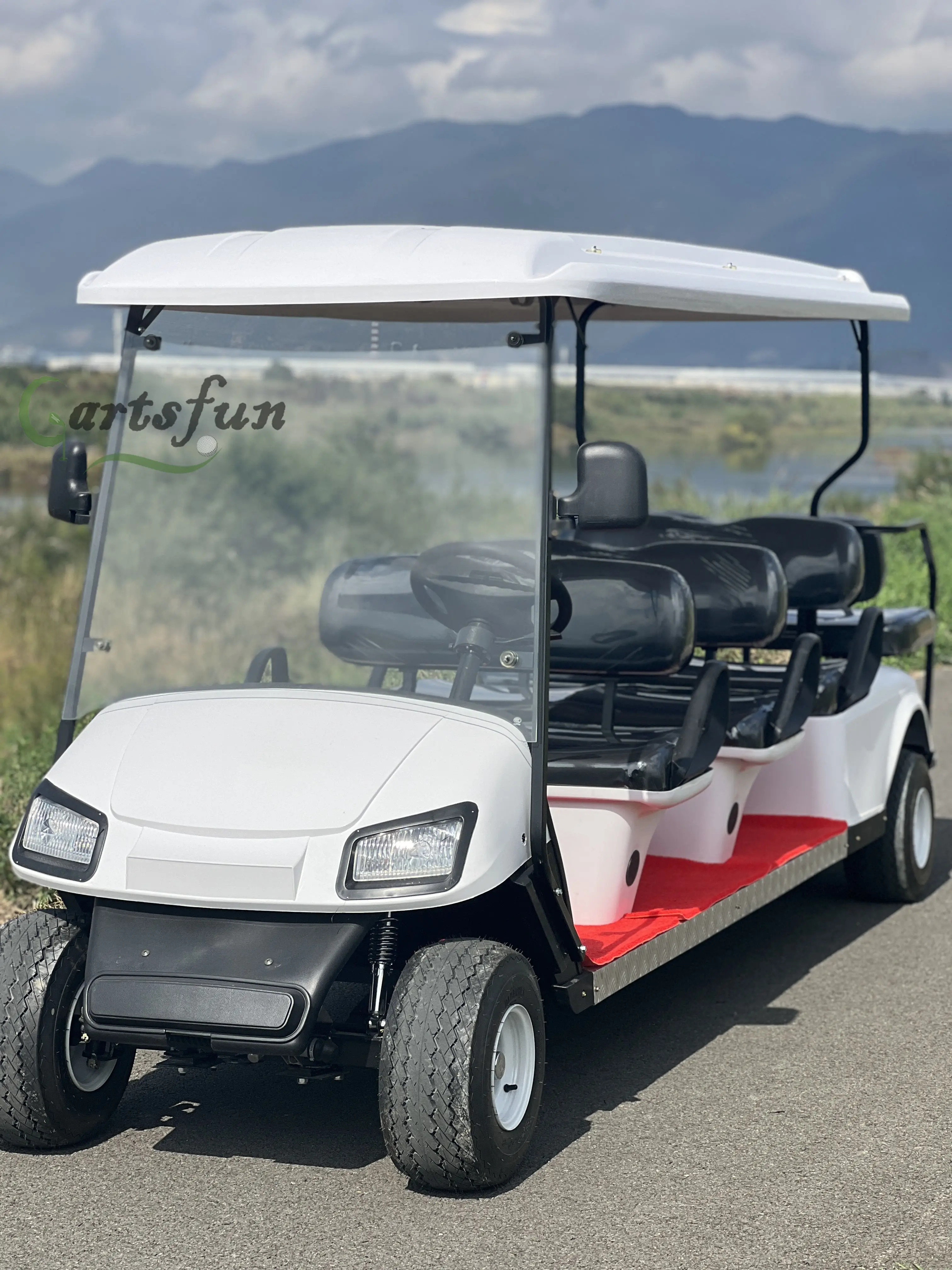 White Brand Hunting Car 8 Seat 48/60/72V Sightseeing Car Electric Lifted Golf Cart with Bumper