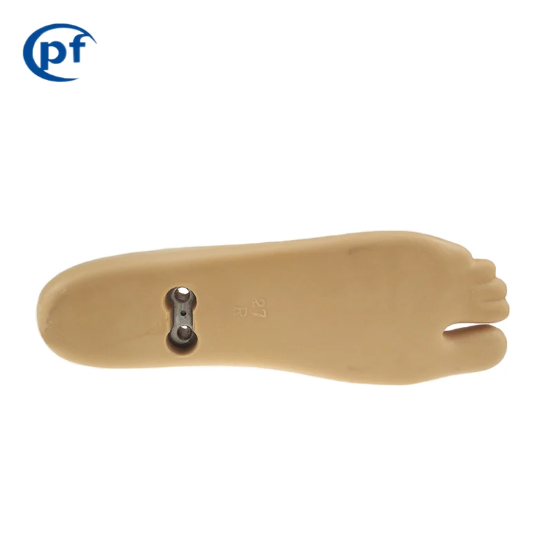 prosthetic toes artificial limbs foot  prosthetic foot two hole double axis foot