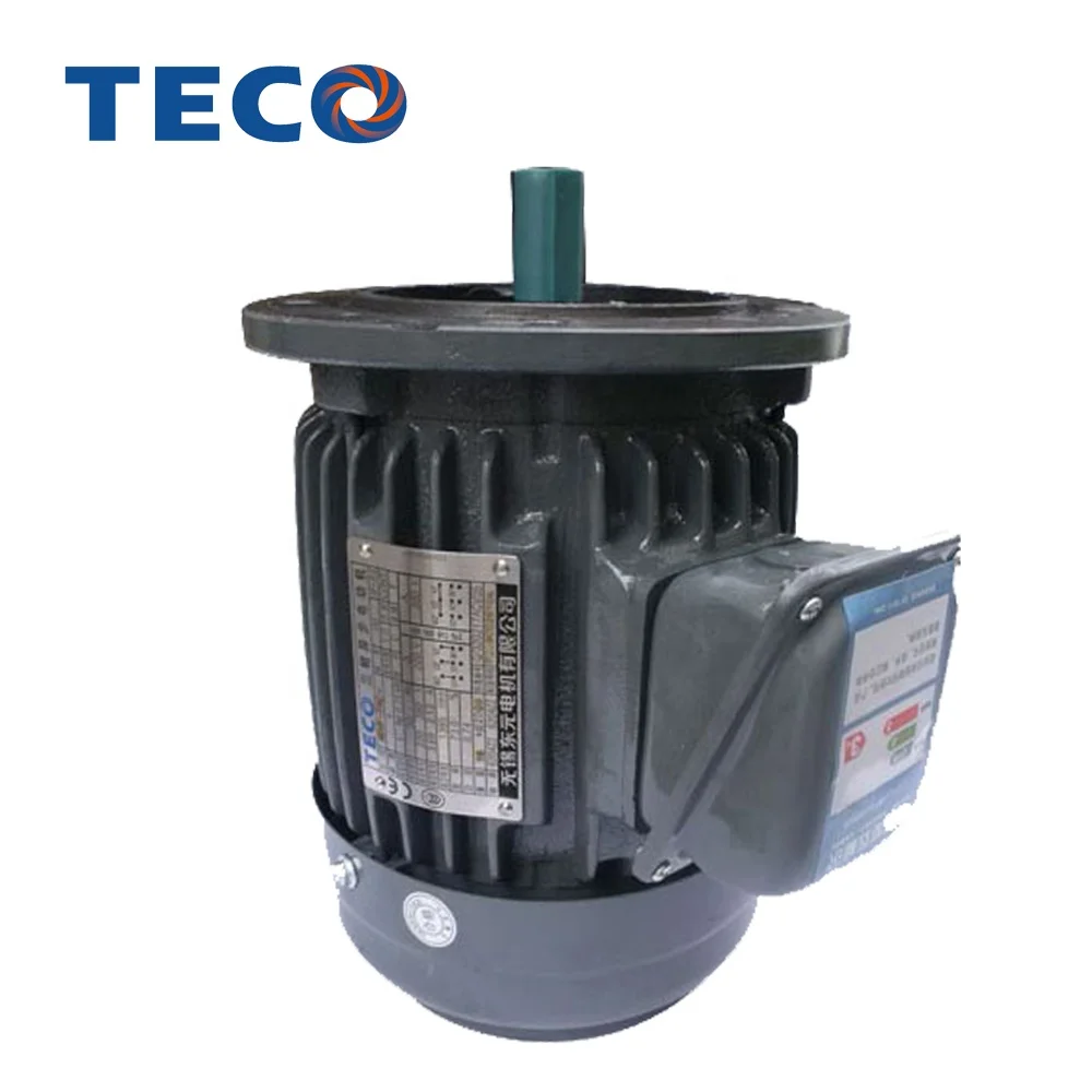 TECO brand 4hp inverter duty ac motor with frequency conversion fan