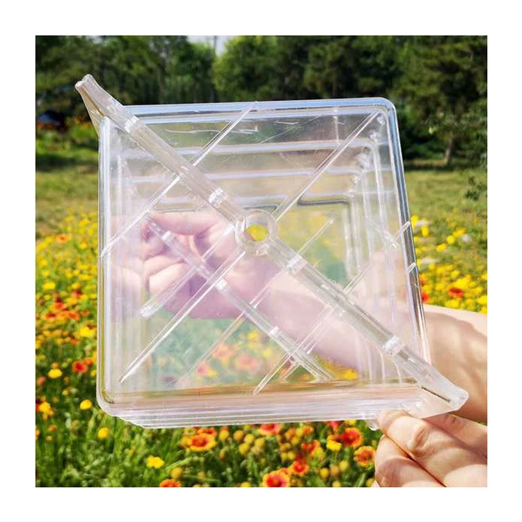 DIY High Quality Plastic Square(15*15*15cm) Garden Fruit Watermelon Cantaloupe Pumpkin Growth Forming Shaping Mold