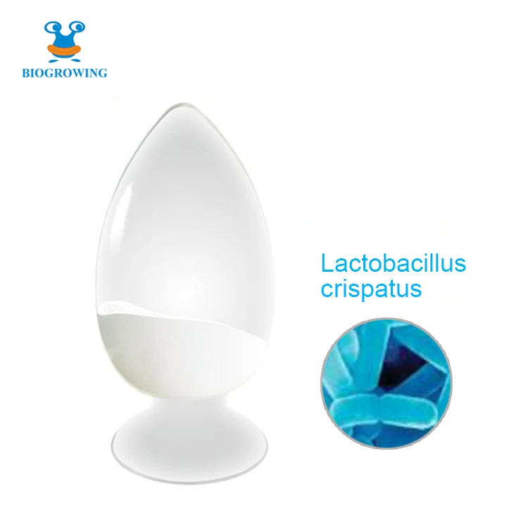 150 миллиардов пробиотиков CFU/g, Замороженный Порошок пробиотиков лактобацилла