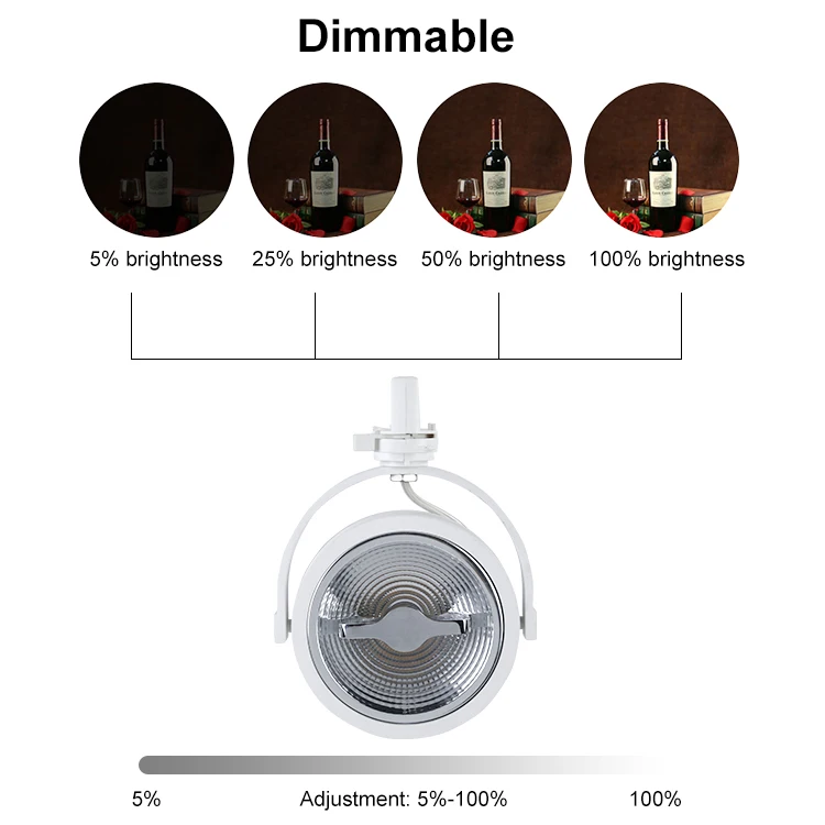 ANTI-GLARE DESIGN Lighting AR111 Track Light  LED Track Light for Showcase, Residential