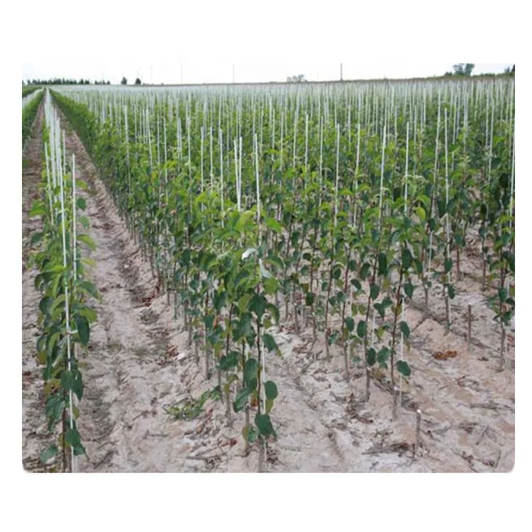 Сельскохозяйственные и садоводческие растительные колья стеклопластиковые стержни