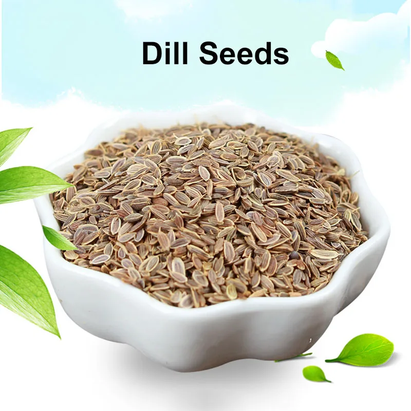 Tongjin spice supply high quality organic herbal dill seeds to drive cold and warm liver