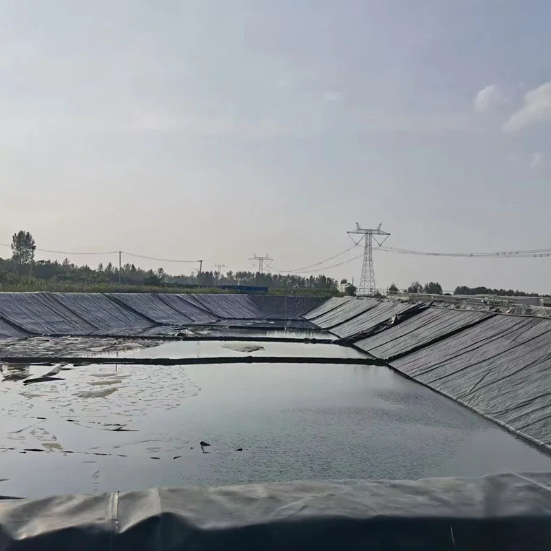 Китайская геомембрана из полиэтилена HDPE для паровых барьеров отвода дождевой воды карьеров свалок в Австралии/Мексике/Колумбии