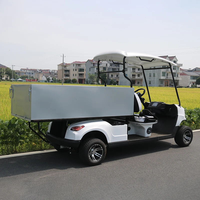 Mini 2 Seater Electric Classic Golf Cart Car With Cargo Box  With Long Cargo Tray