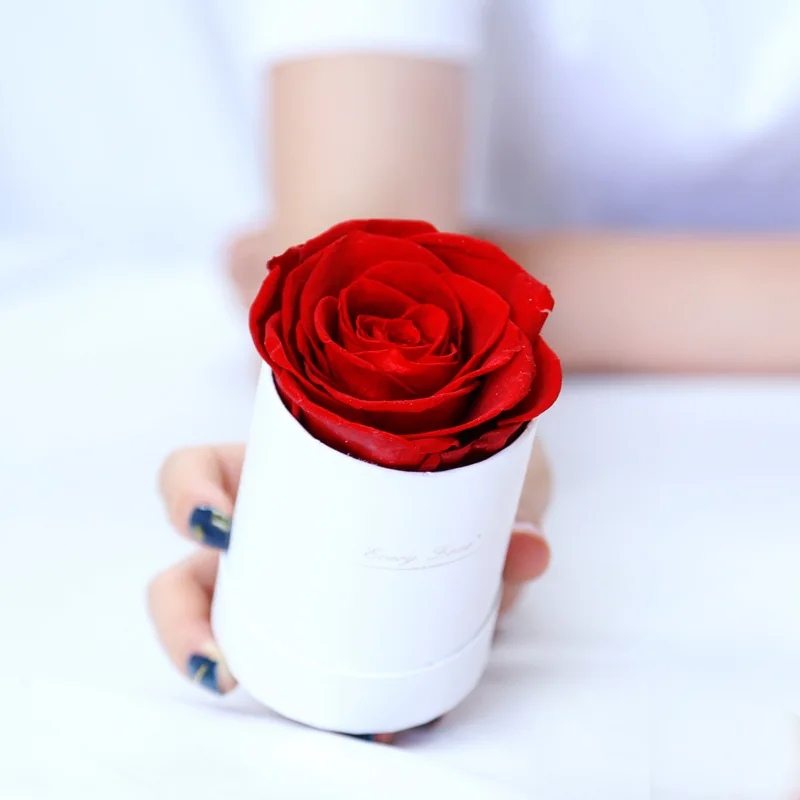 Wholesale Customized Logo Wedding Natural Long Life Luxury Various Colors Rose Flower Gift Eternal Preserved Roses in Box