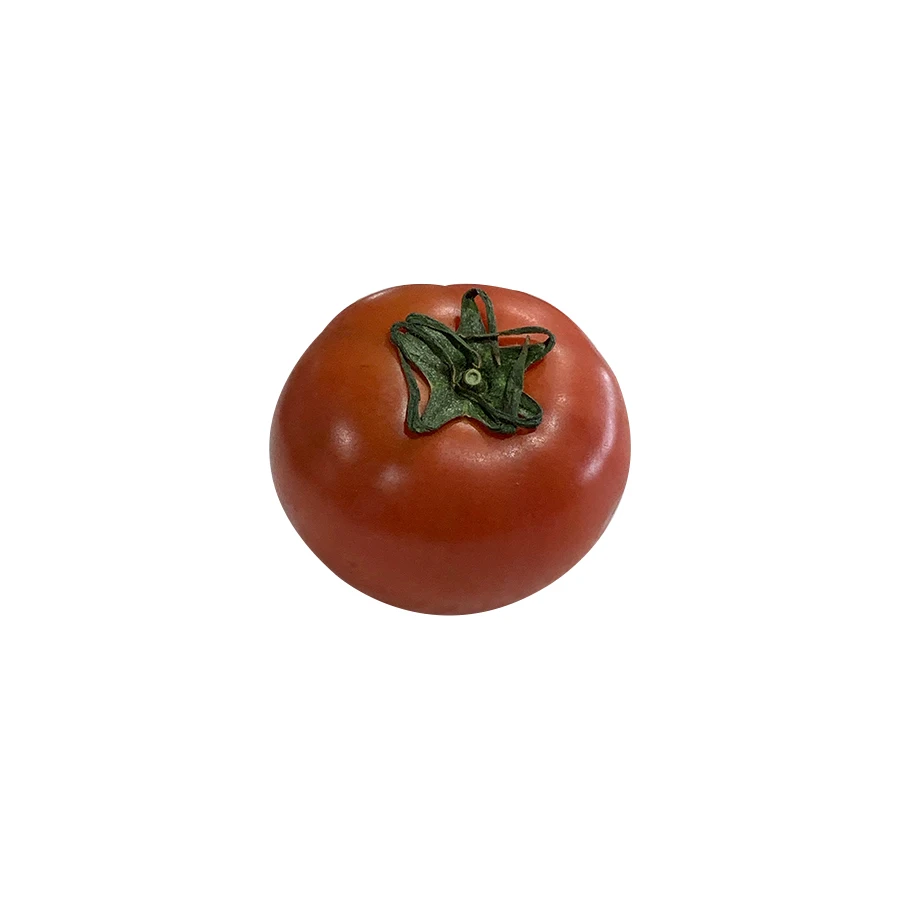 Japanese high quality fresh good taste tomato flavor for wholesale