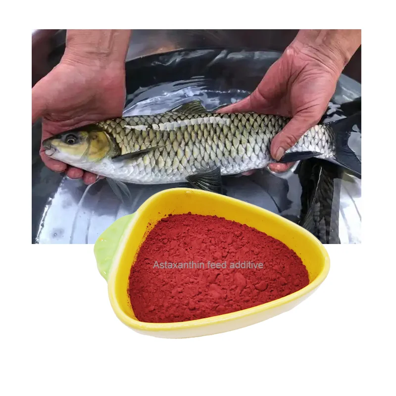 Высокобезопасная Ферментированная 100% L-ASTAXANTHIN порошок 1% биосинтетическая кормовая добавка астаксантина для кур-несушек CAS