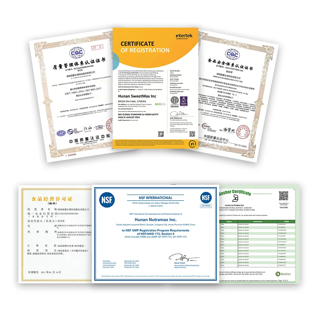 Plant Extract Bulk European Bilberry Extract Powder 4:1 to 20:1