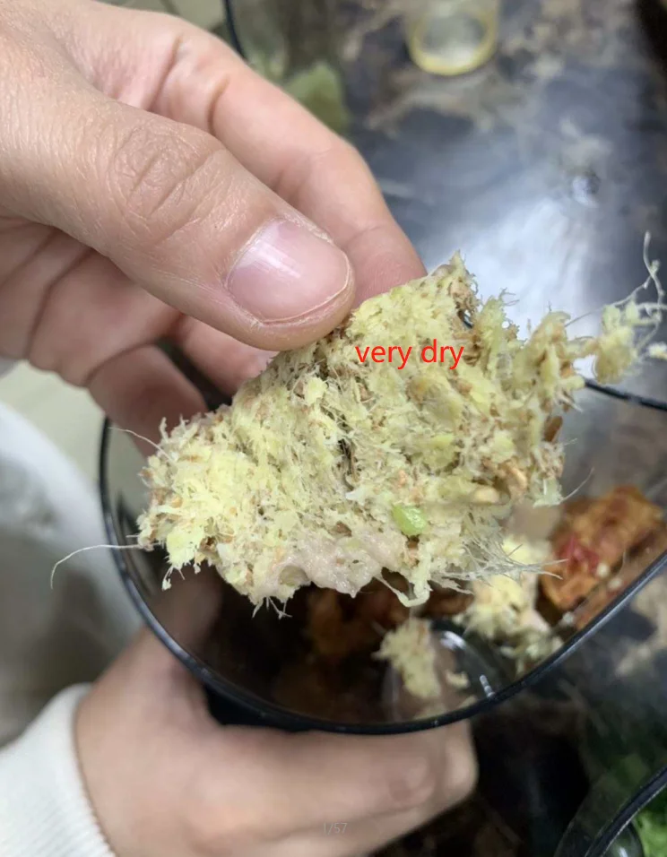 Factory direct High Juice Yield Cold Press 85mm Wide mouth Cold Press Slow  Carrot Juicer Electric Juice Extractor Machine