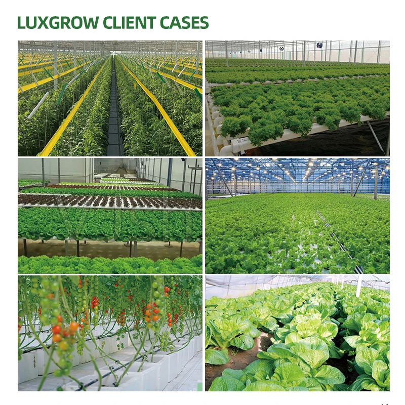 Double Sied Agricultural Vertical Growth Plant Lamp New Led Grow Tube Light 100w 200w For Hydroponic Lettuce