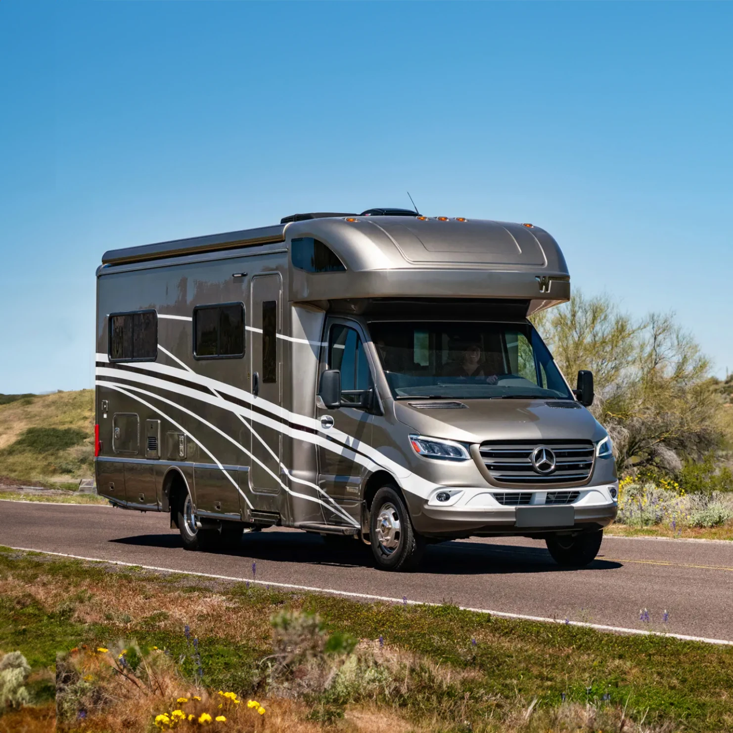 Ecocampor Pop up грузовик Кемпер кровать RV Караван с туалетом и кухней для продажи