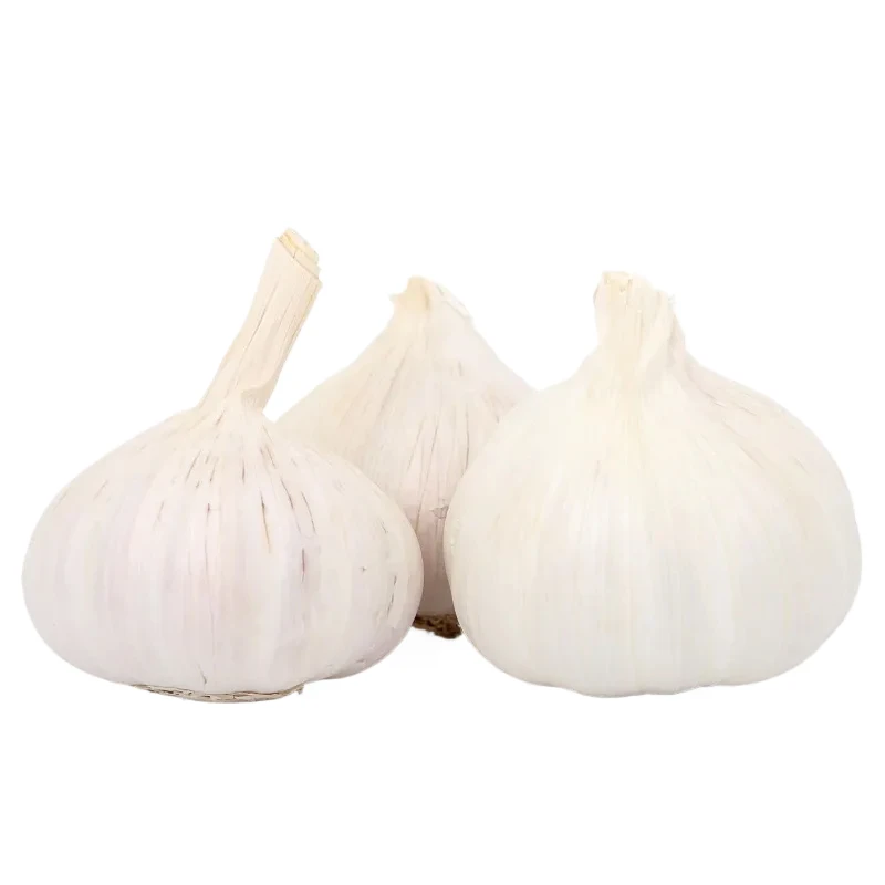 jiahe Garlic China Leading Garlic Distributors/manufactures Fresh Garlic White Alho Ajo Directly Suppliers