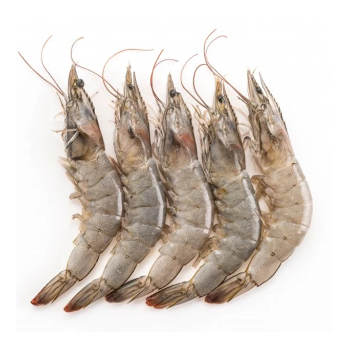 Wholesale High Quality Bulk Packing Ocean Fresh Raw Vannamei Shrimp Prawn Frozen Freeze Dry Ocean Seafood