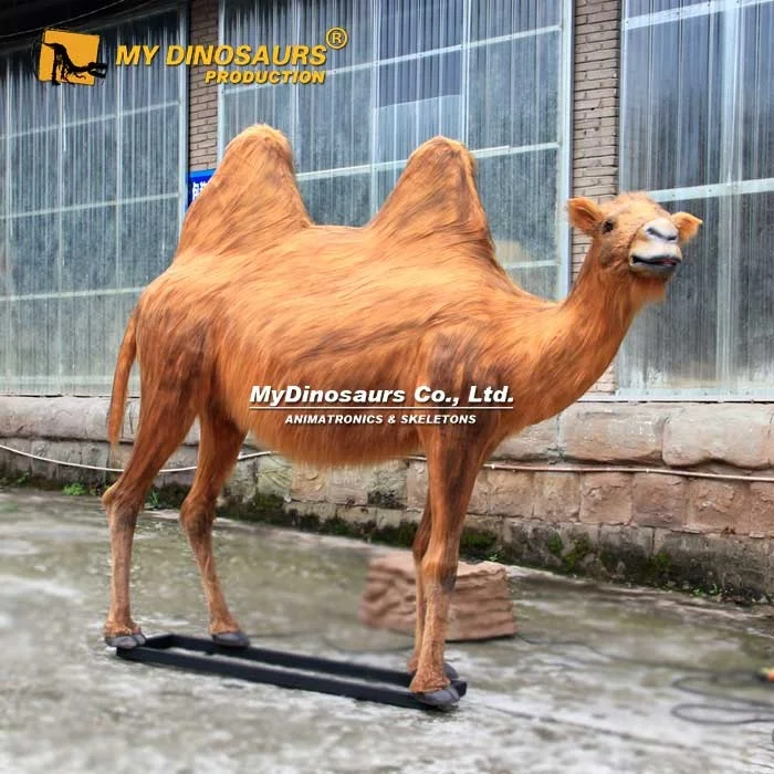 MyDino AA-020 Realistic Life Size Animatronic Camel in Alibaba