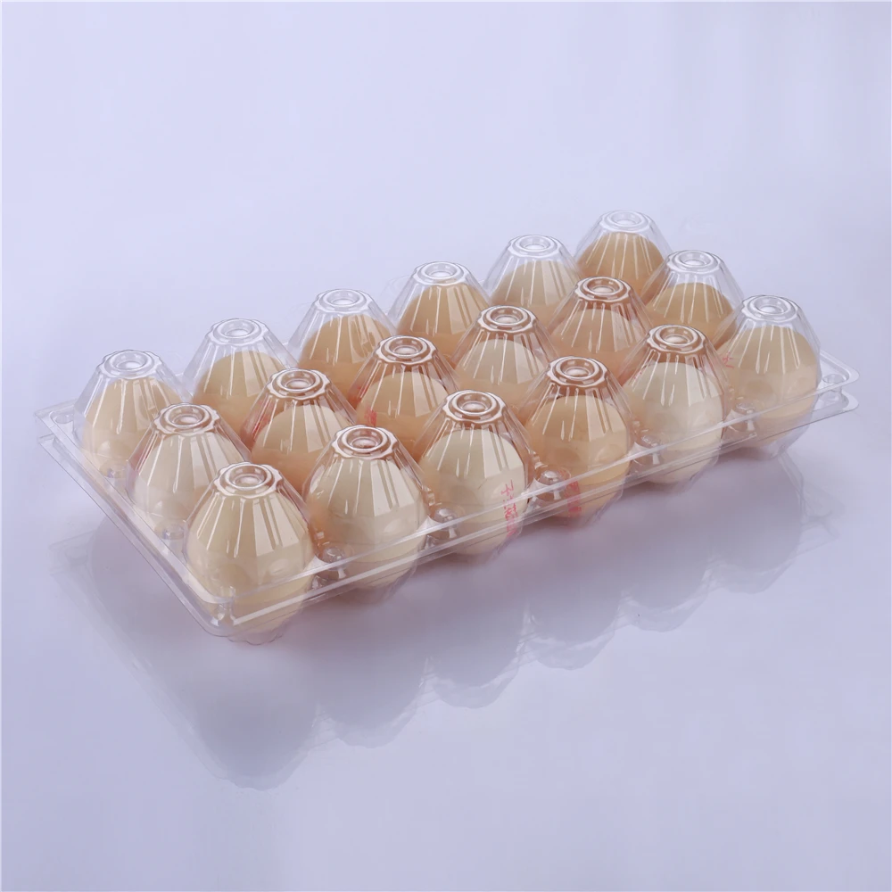
Spot 18 pieces transparent packaging chicken egg box egg tray suppliers for plastic 