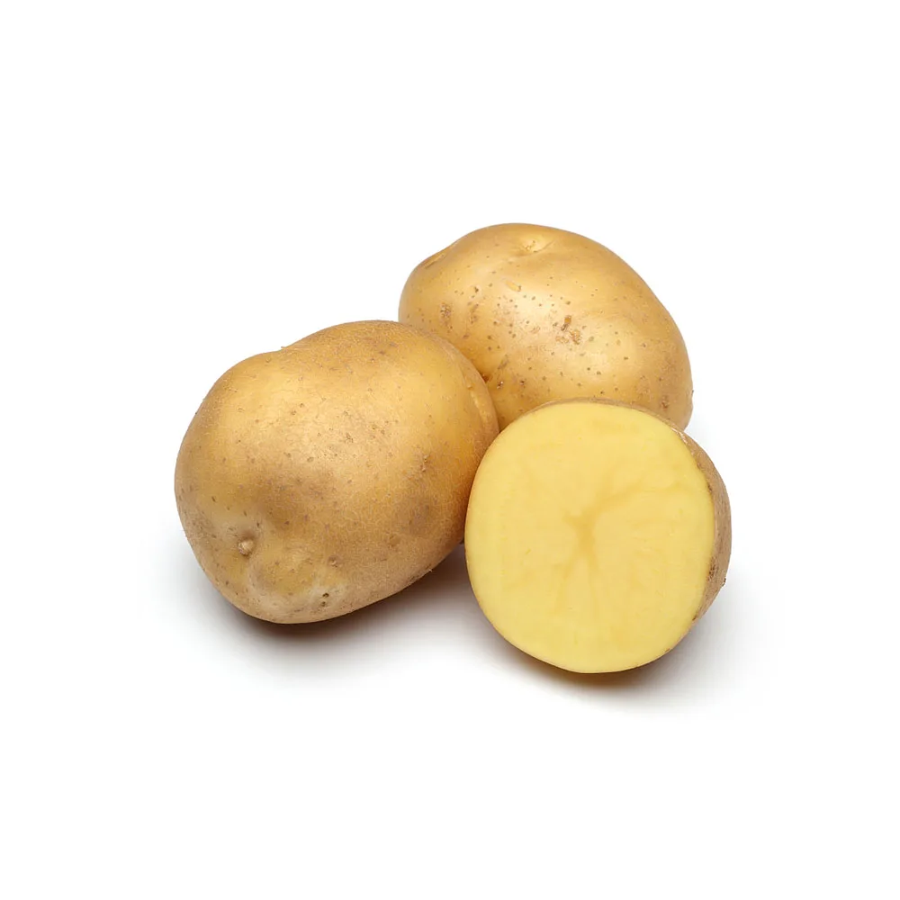 Оптом Свежий картофель для экспорта