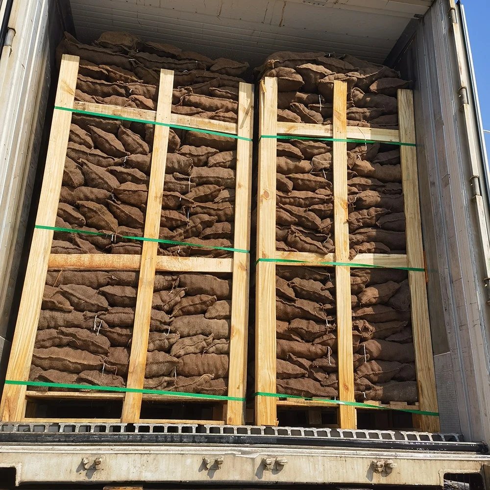 Wholesale Chestnuts individual package Chestnuts cheap prices