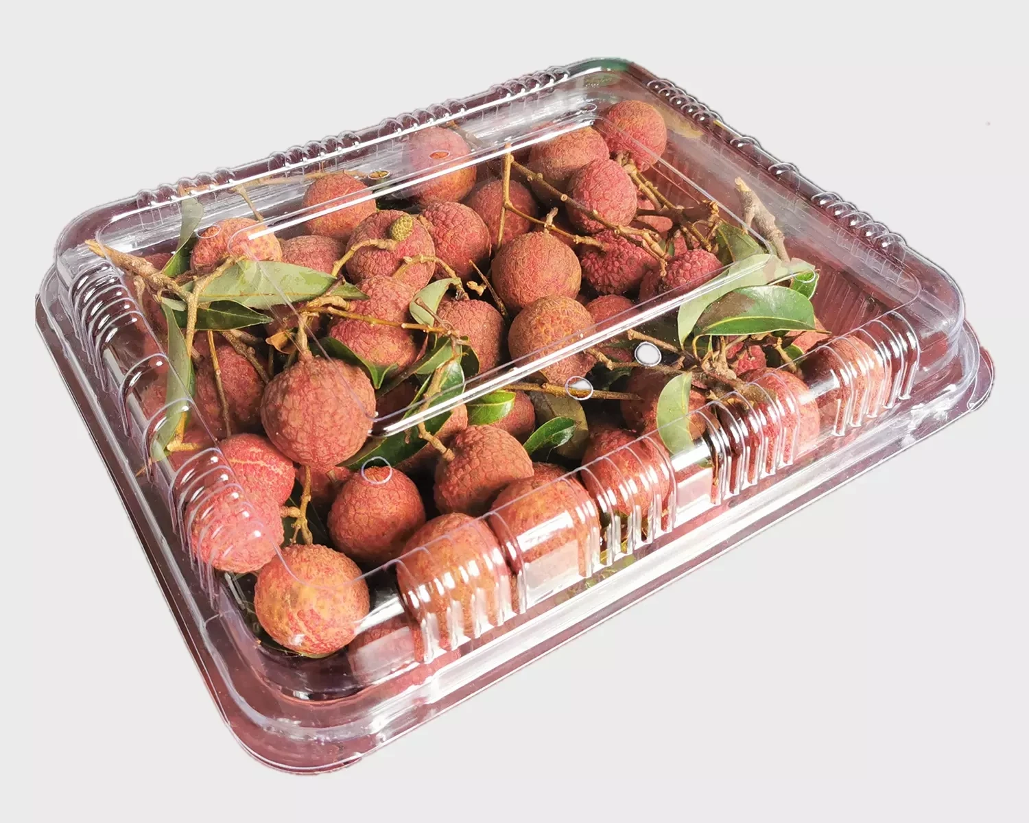 Automatic Factory APET,PETG,GAG, PS,PP, PVC thermoforming machine