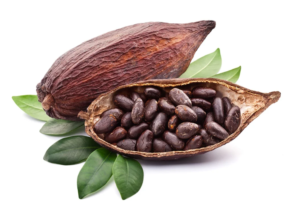 Lowest Price Bulk Cocoa Powder