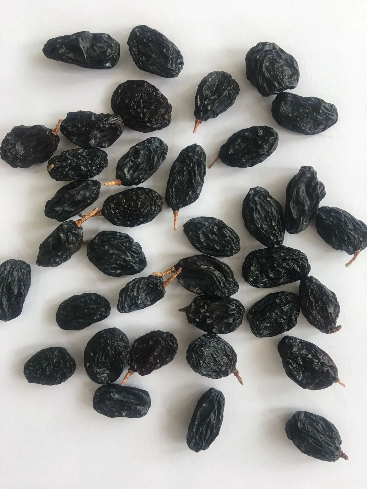 Factory black raisin Xinjiang