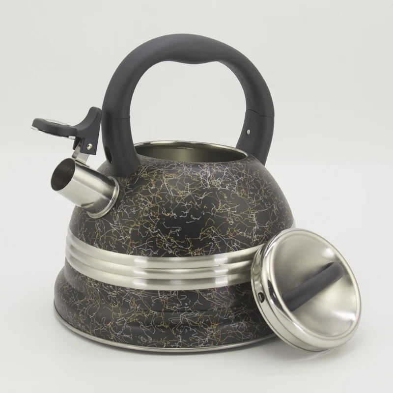 I TOP Silver Color Painting Stainless steel whistling tea kettle