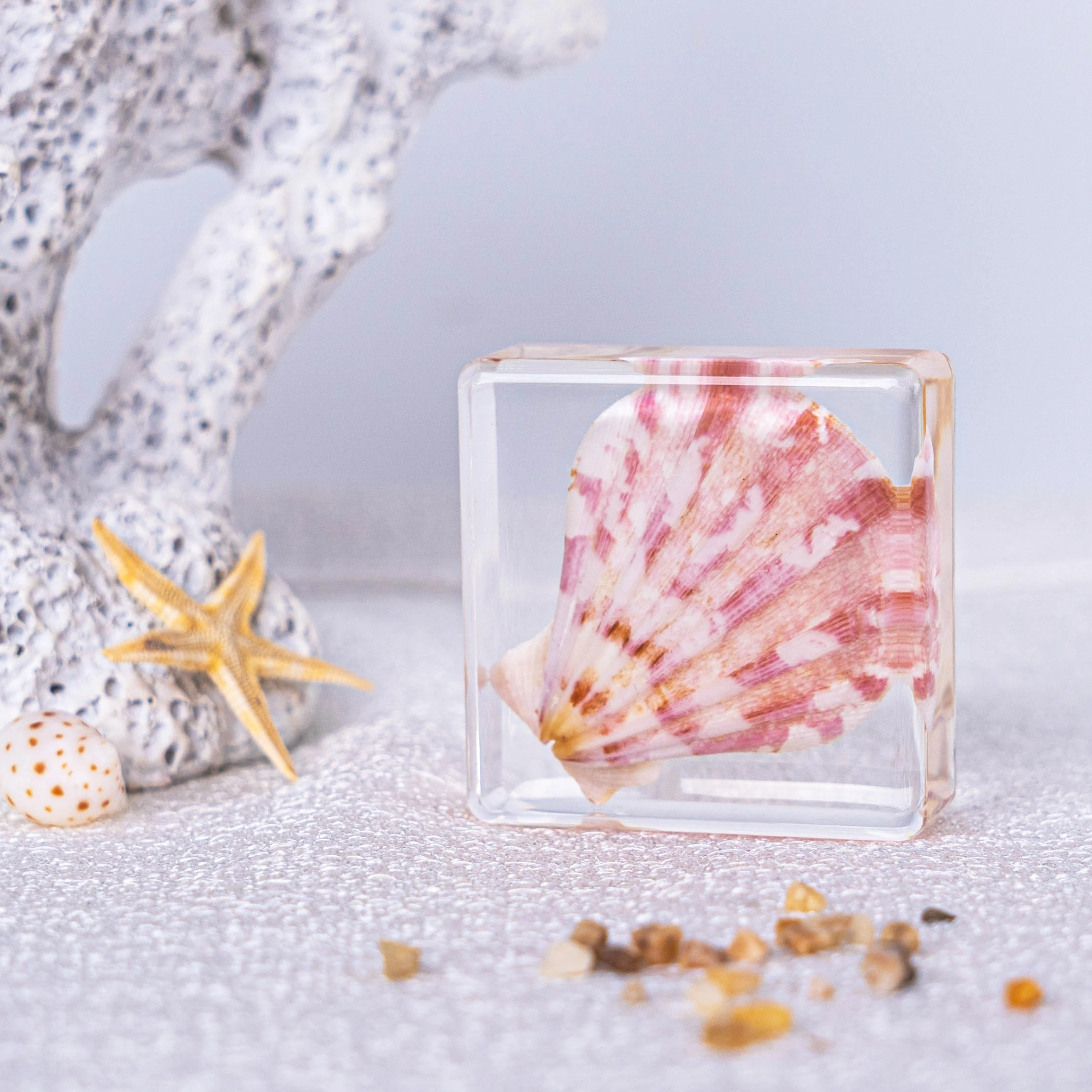 Горячая распродажа прямая цена с завода Хрустальная смола морская жизнь креветка для домашнего детского сада ученика учеба морской подарок