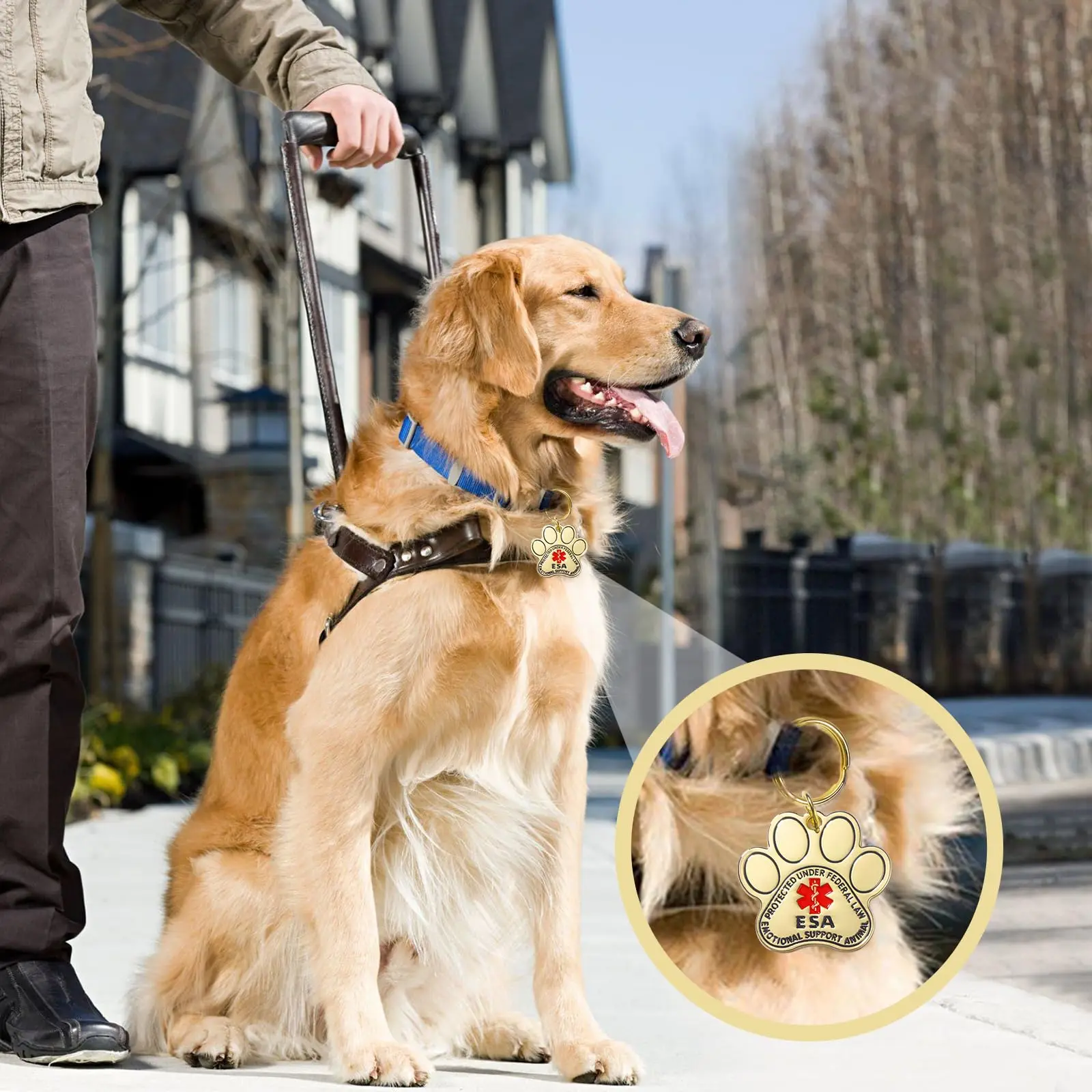 Custom Personalized Boutique Large Size Gold Stainless Steel Dog Name Tags Emotional Support For Engraving Pet Dog Cat