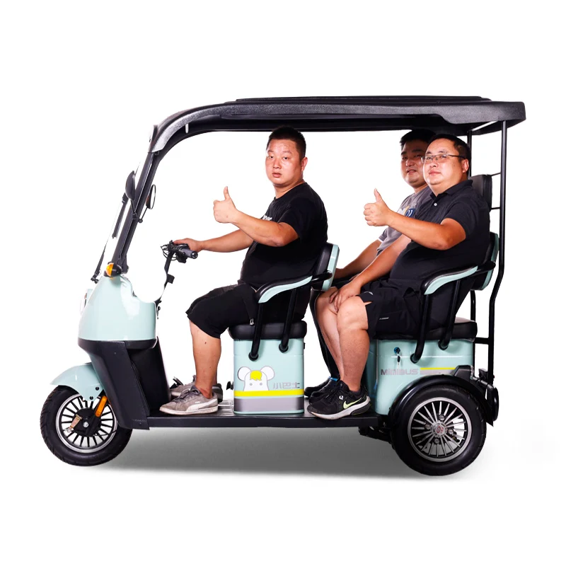 800W/1000W/1200W/1500W Open Top Electric Tricycle for Adults Comfortable Pedal Assisted Commute for Leisure