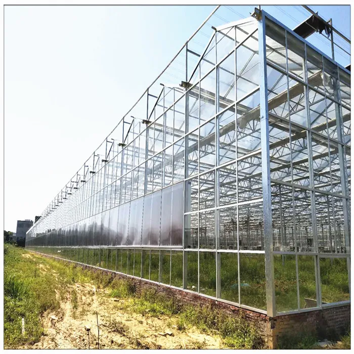 China Factory Commercial Agricultural Vegetable Fruit Flowers Galvanized Steel Frame Polycarbonate Greenhouses
