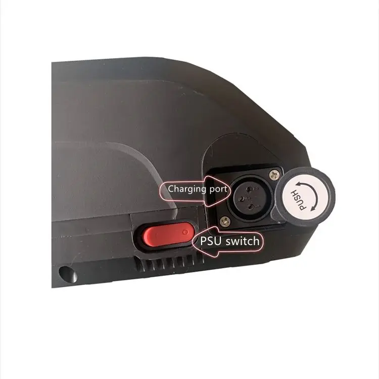 Hailong Case 24 36 48 Volt Downtube Frame Lithium E-Bike Hailong Battery Pack With BMS