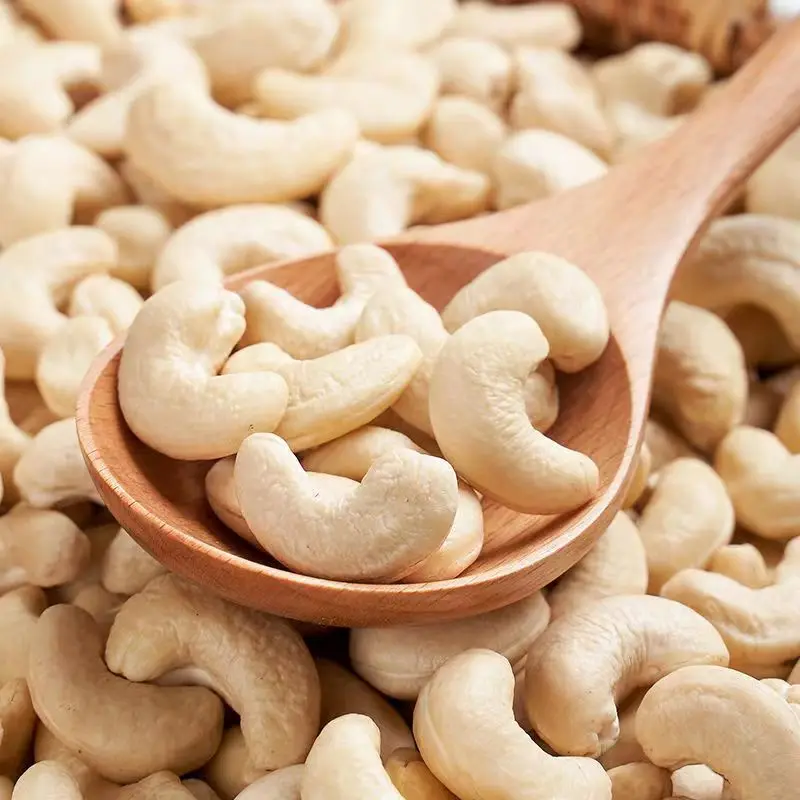 Wholesale High Quality Delicious 100% Natura Cashew Nuts Kernel W240