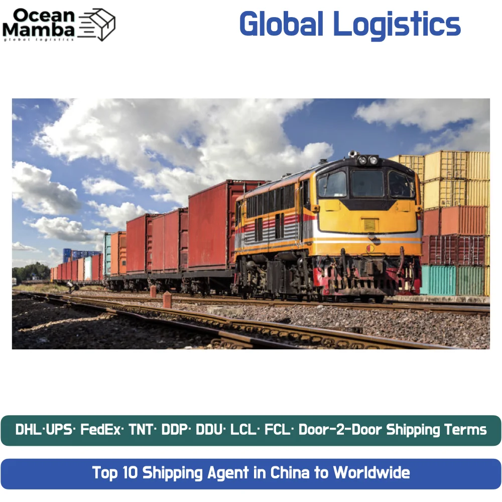 Ocean Mamba Freight Forwarder China to Pakistan India USA Shenzhen freight forwarder shipping agent