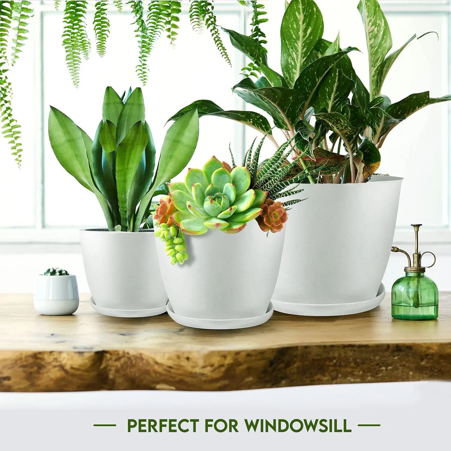 Plant Pots Indoor with Drainage Home Decor Flower Pots for Indoor Planter Plastic Planters for Indoor Plants Pot White