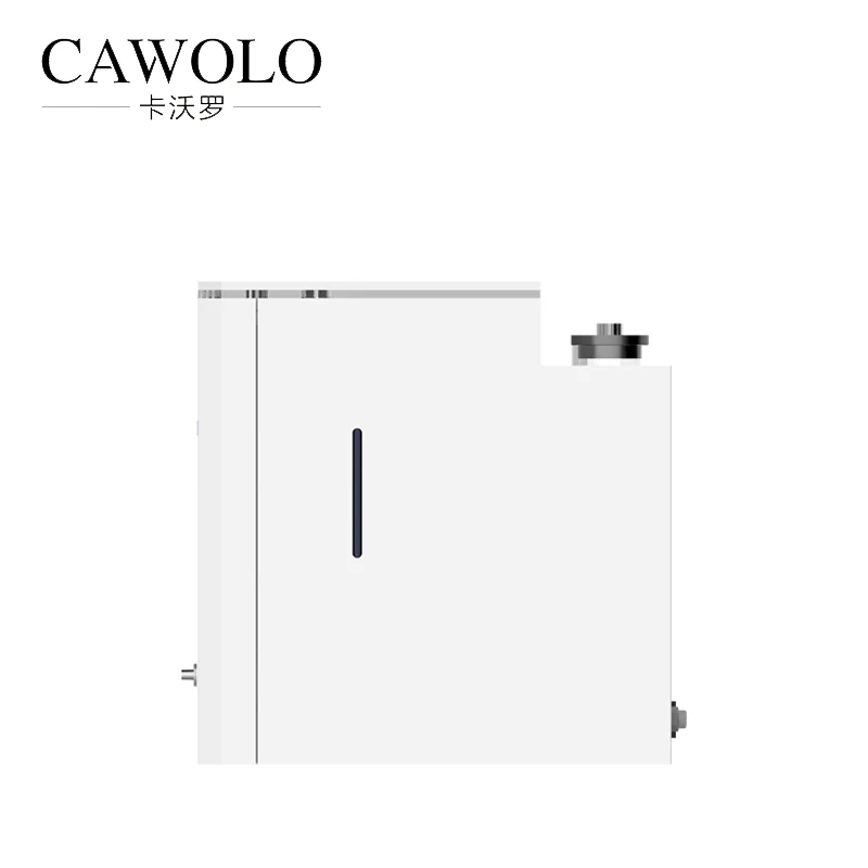 OEM generator hydrogen machine CAWOLO factory direct sales