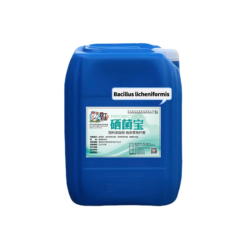 Bacillus licheniformis livestock selenium yeast powder bacillus subtilis probiotics mixed feed additives