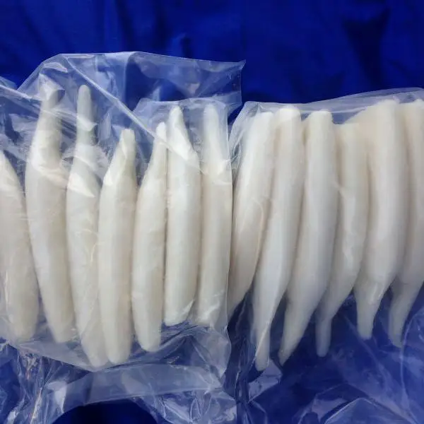 cleaned frozen giant squid tube U3 U5 U10
