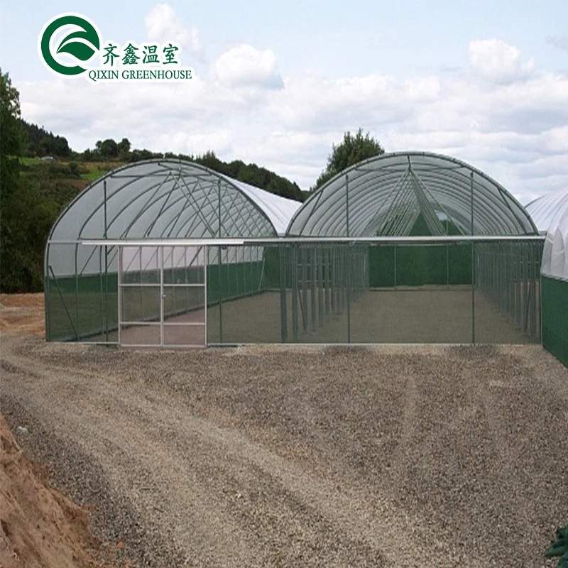 China agricultural  Greenhouse with seeding machine