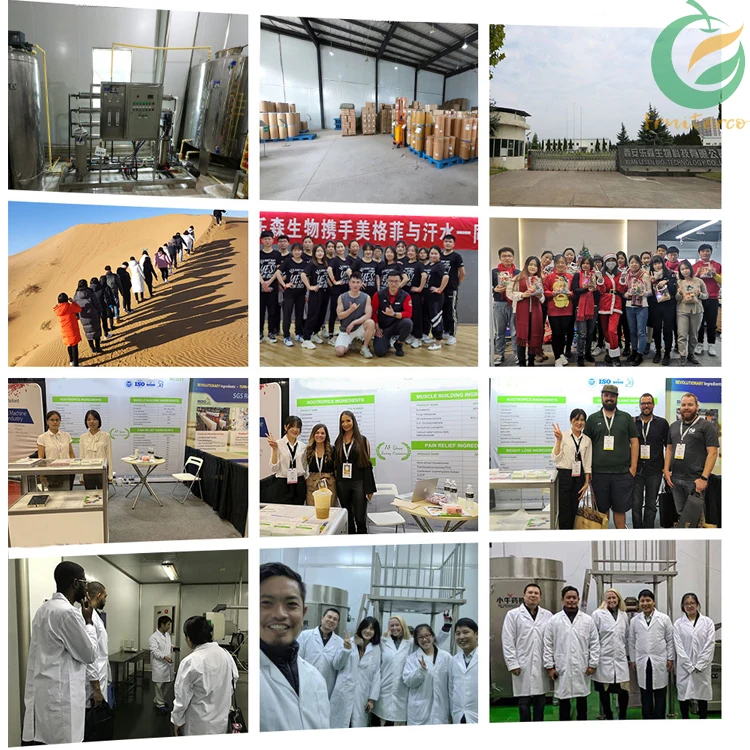 Organic Peptide Soybean Food Supplement Soy Protein Peptide Soybean/Soy Peptide Powder