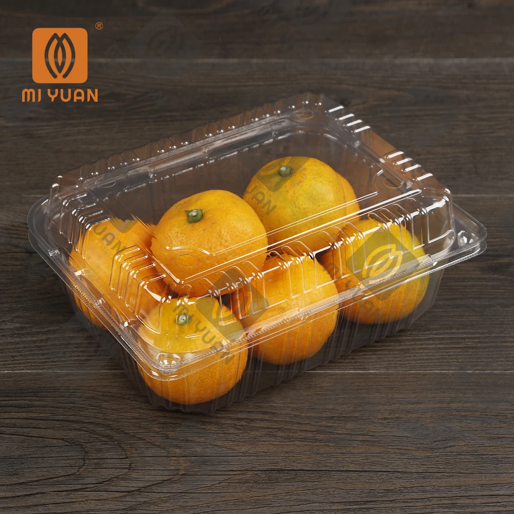 PET Clear Fresh Fruit Recyclable Plastic Clamshell Box For Supermarket Fruit Grape Fruit Box